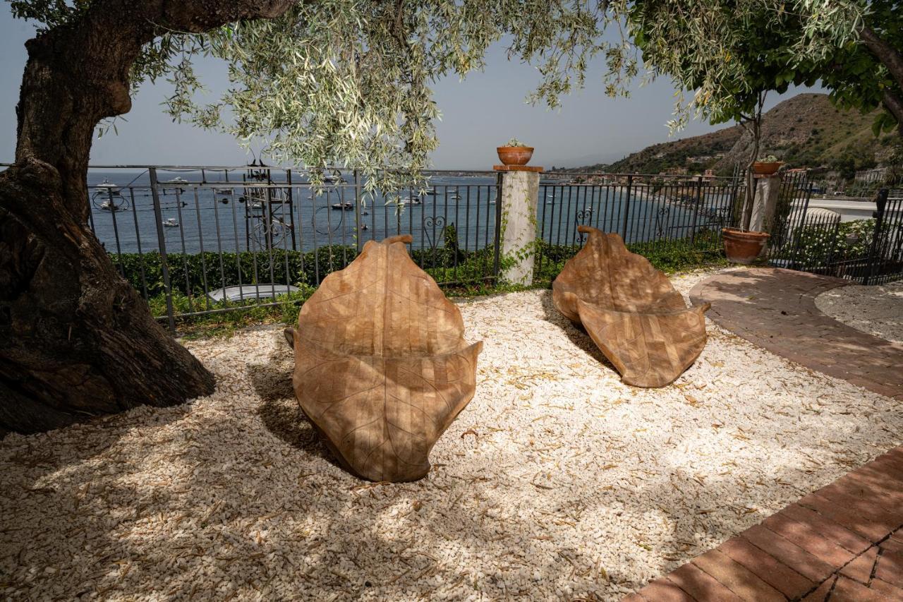Degli Ulivi